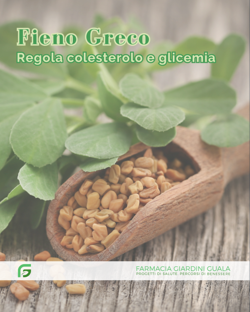 Fieno greco: regola colesterolo e glicemia