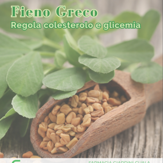 Fieno greco: regola colesterolo e glicemia