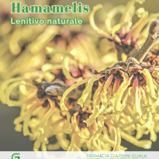 Hamamelis: il rimedio naturale per la pelle sensibile al sole